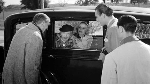 Felicita Colombo Bild 3