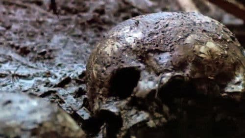 The Riverman - Auf der Jagd nach dem Green River Killer Bild 1