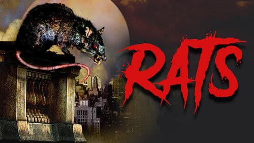 The Riffs III - Die Ratten von Manhattan Bild 7