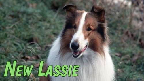 Lassie Bild 1