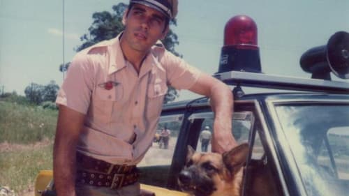 O Vigilante Rodoviário Bild 1