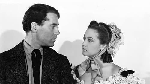 Der Tod des alten Zirkuslöwen Bild 4