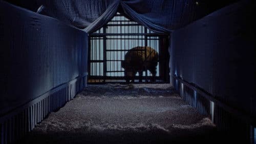 Гонгофер Bild 3