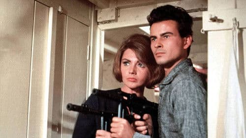 Unser Mann in Istanbul Bild 1