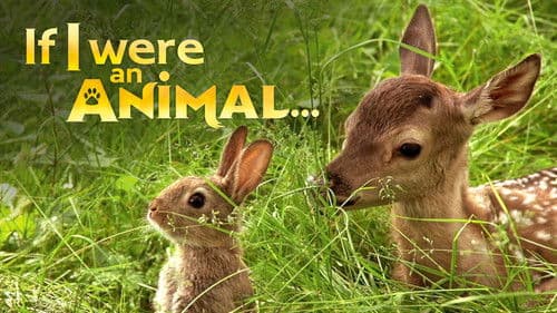 Si J'étais un animal Bild 3