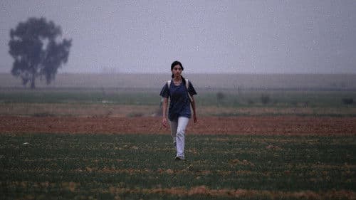 על כלבים ואנשים Bild 3