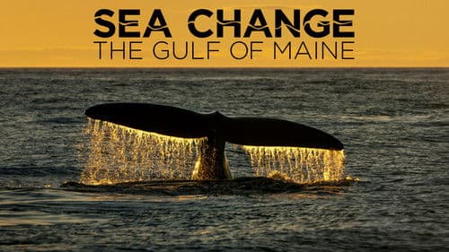 Sea Change: The Gulf of Maine Bild 1