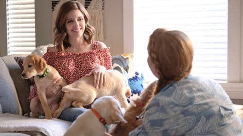 Liebe mit Herz und Hund Bild 4