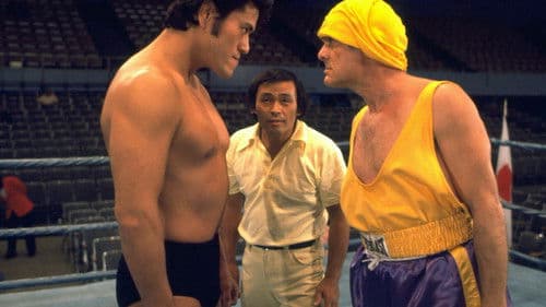 Die Bären sind nicht mehr zu bremsen Bild 4