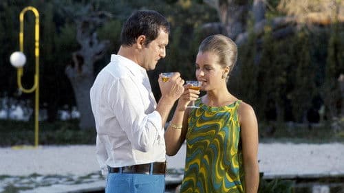 Der Swimmingpool Bild 4