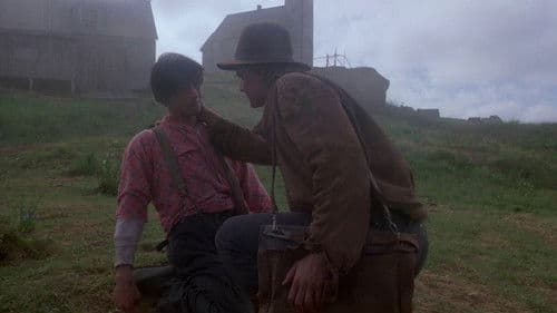 Les Fous de Bassan Bild 4