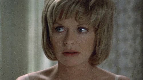 Spiegelbilder Bild 5