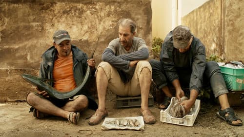 Das Schwein von Gaza Bild 1