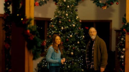 The Christmas Venue Bild 3