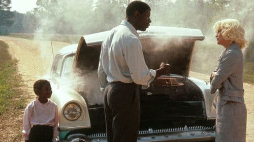 Love Field - Feld der Liebe Bild 6