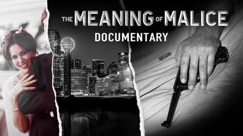 The Meaning of Malice Bild 1