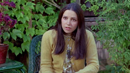 Woody, der Unglücksrabe Bild 7