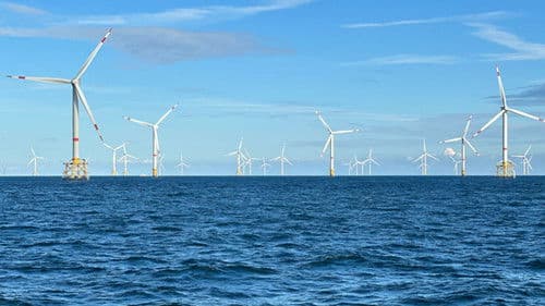 Windparks im Meer - Chance oder Risiko für die Natur? Bild 1