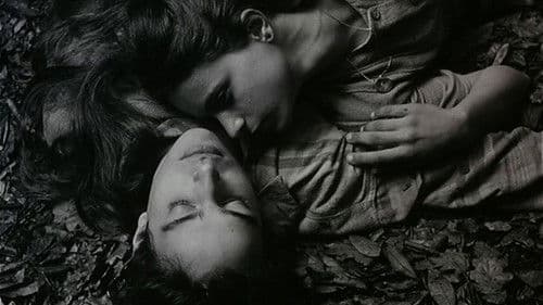 Frágil Como o Mundo Bild 3