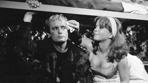 Der Mann im grünen Hut Bild 4