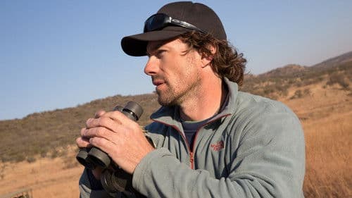 Mann gegen Löwe Bild 4