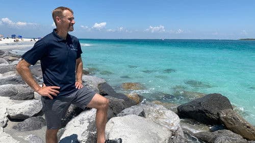 Bullenhai vs. Hammerhai Bild 2