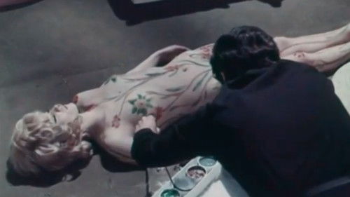 Questa libertà di avere... le ali bagnate Bild 1