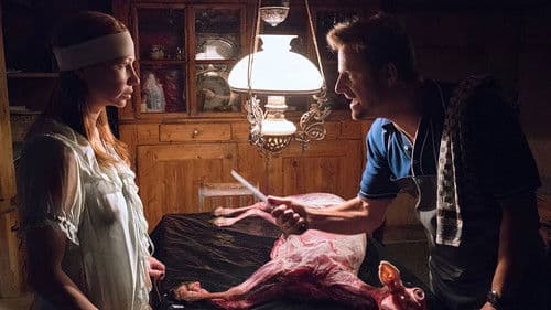 Animals - Stadt Land Tier Bild 6