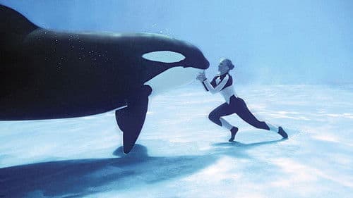 Blackfish: Der Killerwal Bild 3
