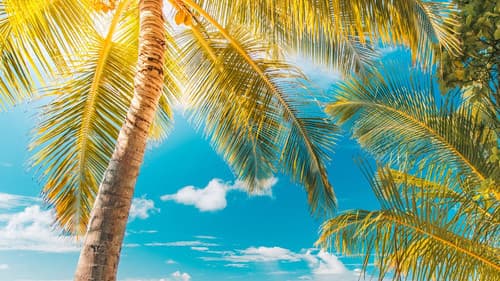 Abenteuer Karibik Bild 1