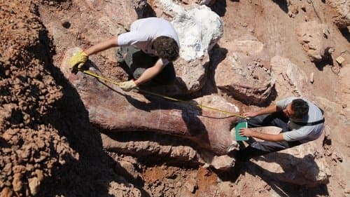 Die Entdeckung der Riesensaurier Bild 1