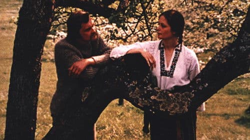 Така пізня, така тепла осінь Bild 5