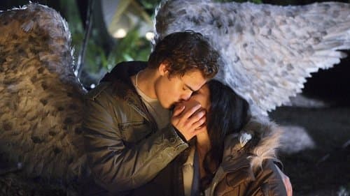 Gefallene Engel Bild 1