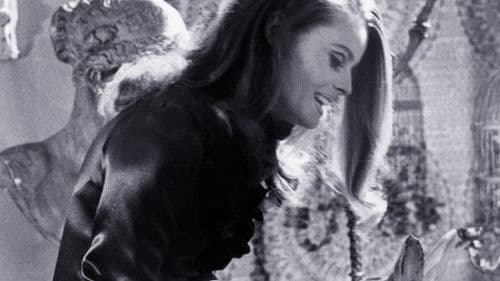 The Smashing Bird I Used to Know Bild 4