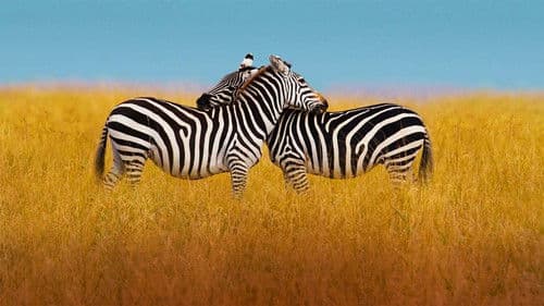 Planet der Liebe Bild 2