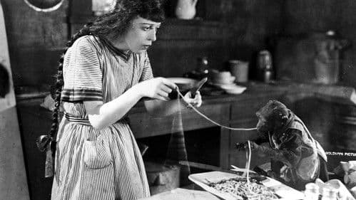 Head Over Heels Bild 1