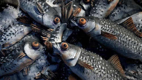 Mereneläviä (Fish River Anthology) Bild 1