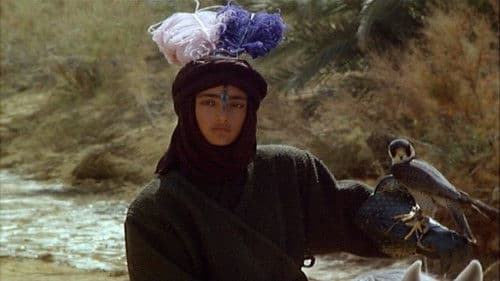 طوق الحمامة المفقود Bild 2