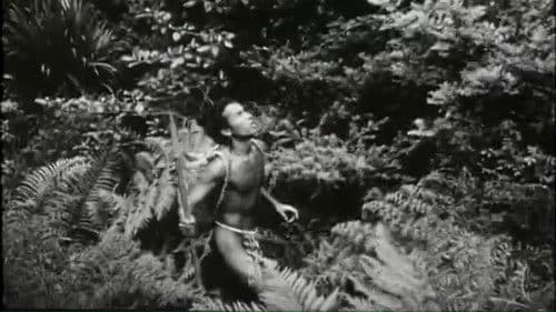 Te Keremutunga o Nga Atua Bild 2