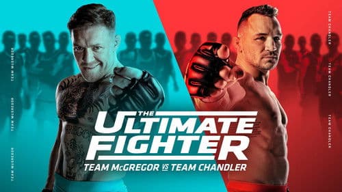 The Ultimate Fighter Bild 2