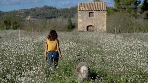 Los destellos Bild 1