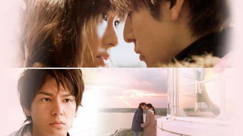 ハナミズキ Bild 3