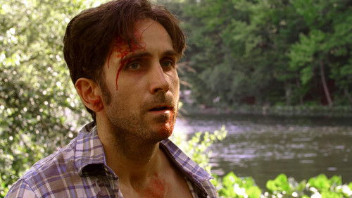 Abnormal Attraction Bild 6