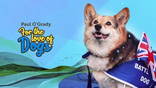 For the Love of Dogs Bild 7