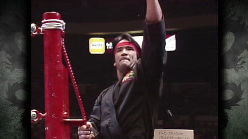 Ricky "The Dragon" Steamboat Bild 2