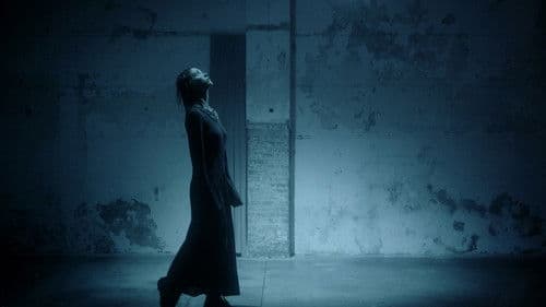 SHIFTING VISIONS Bild 3