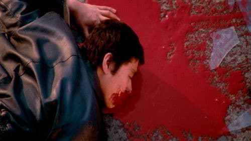 Der Wildeste von allen Bild 2