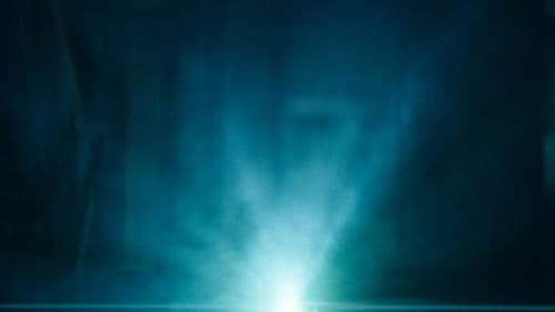 The Abnormal Beauty Company Bild 5