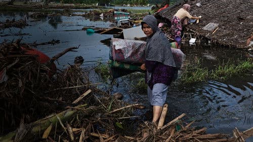 Tödliche Naturgewalten Bild 6