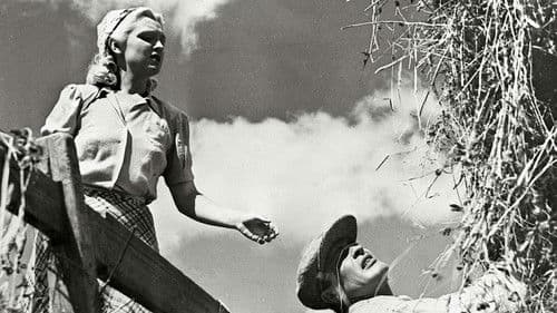 Oi, kallis Suomenmaa Bild 1